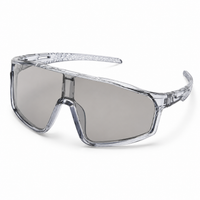 Translucent Grey Frame [Color-changing]