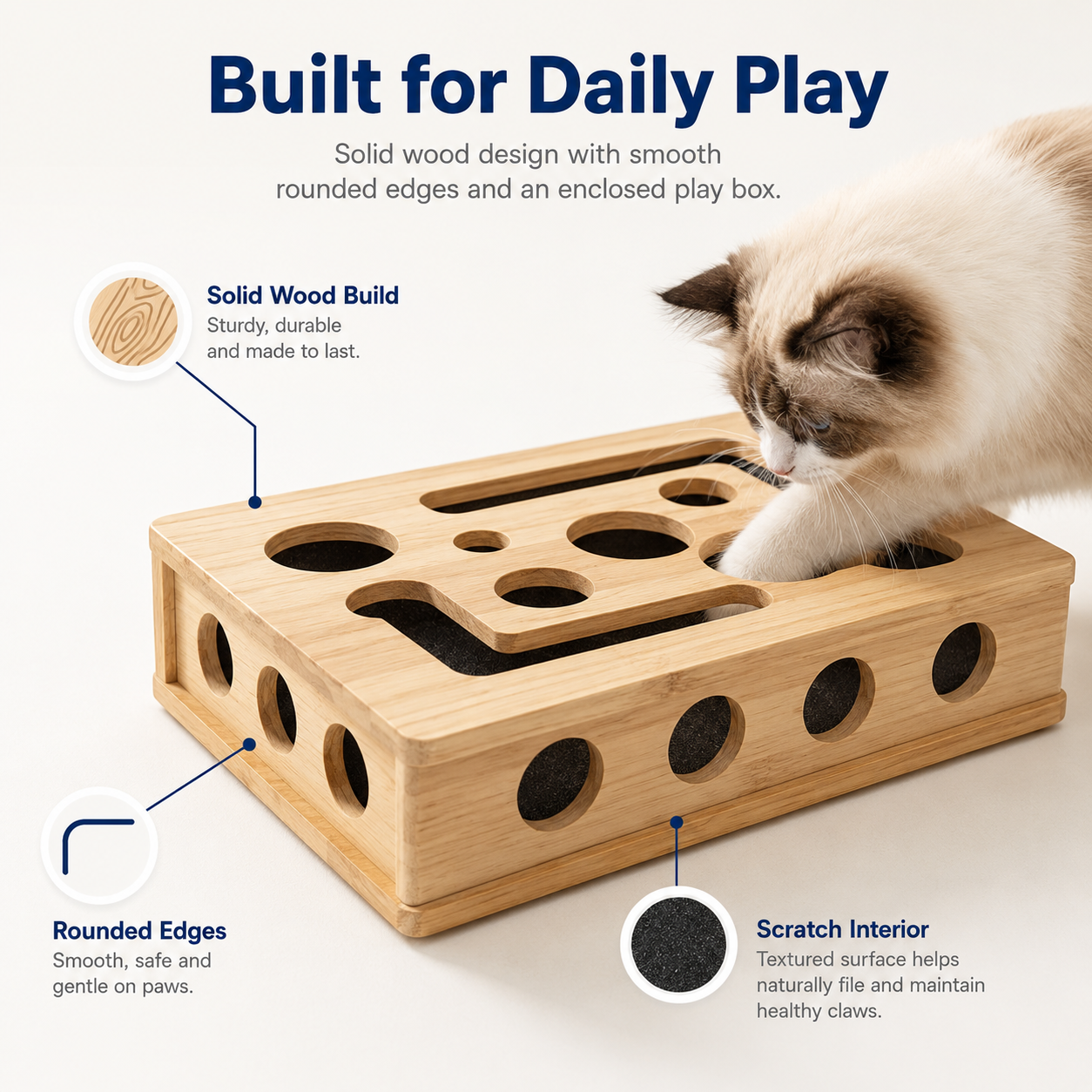 Scratch & Treat Cat Toy