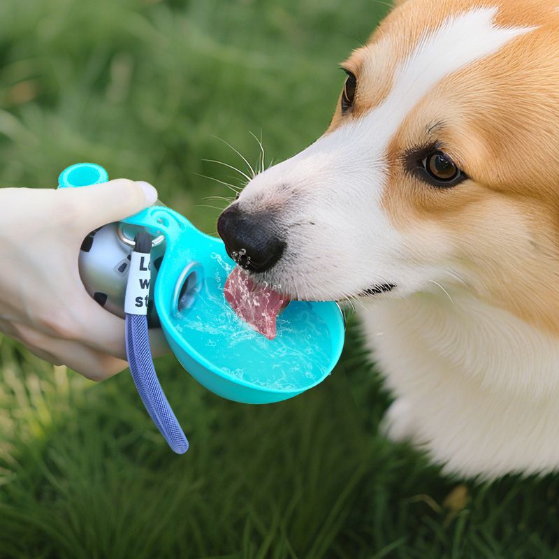 Foldable 304 Stainless Steel Dog Water Bottle Portable Pet Travel Drinking Cup