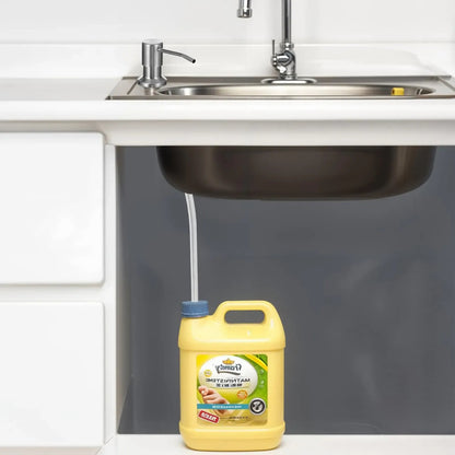 Kitchen Sink Soap Dispensers