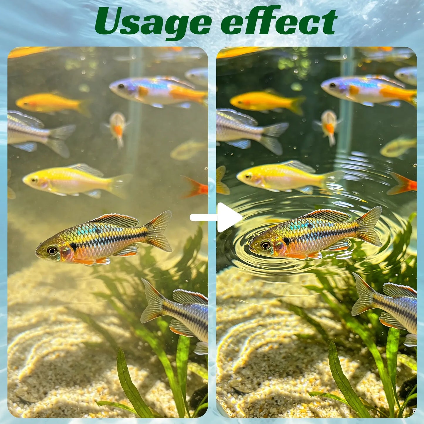 Aquarium Water Purification Tablets