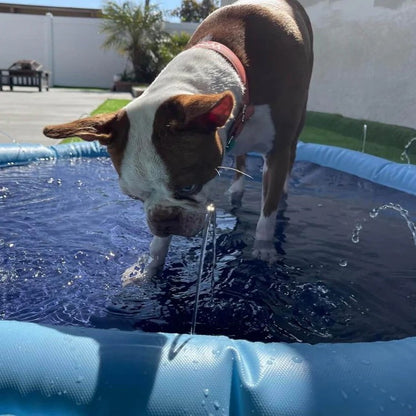 Dog Sprinkler Pad Cooling Summer Pet Toy